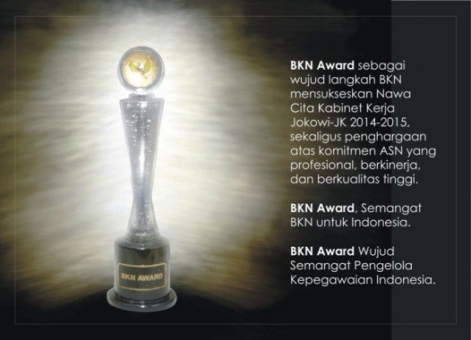 bkn award fix